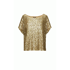 Sequined Libi Top 