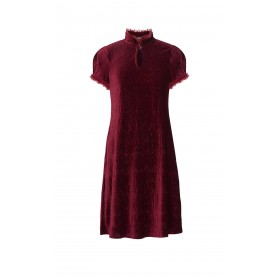 Milota Velvet Dress