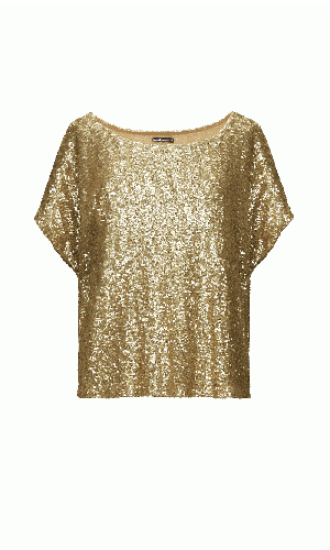 Sequined Libi Top 